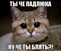 ты че падлюка ну че ты блять?!