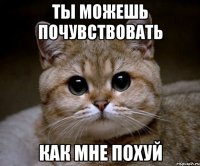 ТЫ МОЖЕШЬ ПОЧУВСТВОВАТЬ КАК МНЕ ПОХУЙ