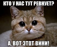 Кто у нас тут ревнует? А, вот этот ВИНИ!