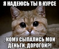 я надеюсь ты в курсе , кому сыпались мои деньги, дорогой?!