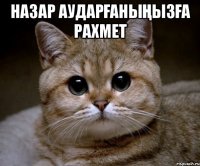 Назар аударғаныңызға рахмет 