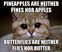 Pineapples are neither pines nor apples Butterflies are neither flies nor butter