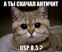 А ты скачал античит USP 8.3 ?