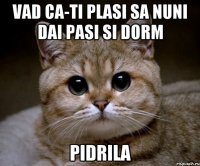 Vad ca-ti plasi sa nuni dai pasi si dorm pidrila