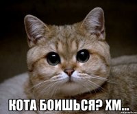  Кота боишься? Хм...