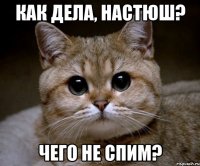 Как дела, Настюш? Чего не спим?