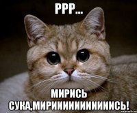 Ррр... Мирись сука,мирииииииииииись!