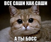 все саши как саши а ты босс