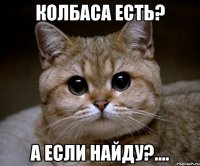 колбаса есть? а если найду?....