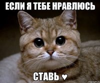 Если Я Тебе Нравлюсь Ставь ♥