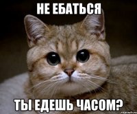 не ебаться ты едешь часом?