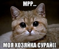 Мрр… Моя хозяйка Сурай((