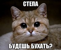 Степа будешь бухать?