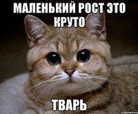 Маленький рост это круто Тварь