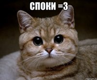 споки =3 