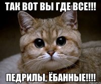 так вот вы где все!!! Педрилы, ёбанные!!!!