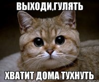 выходи,гулять хватит дома тухнуть