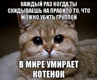 КАЖДЫЙ РАЗ КОГДА ТЫ СКИДЫВАЕШЬ НА ПРАВИЛО ТО, ЧТО МОЖНО УБИТЬ ГРУППОЙ В МИРЕ УМИРАЕТ КОТЕНОК