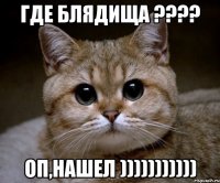 Где блядища ???? оп,нашел )))))))))))