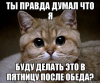 Ты правда думал что я буду делать это в пятницу после обеда?