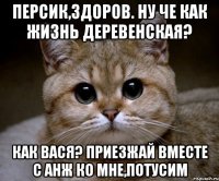 Персик,здоров. Ну че как жизнь деревенская? Как Вася? Приезжай вместе с Анж ко мне,потусим