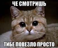 Че смотришь Тибе повезло просто