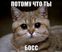 потому что ты БОСС