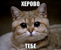 херово тебе