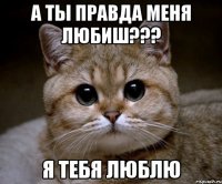 а ты правда меня любиш??? Я тебя люблю