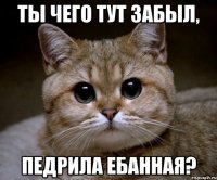 Ты чего тут забыл, педрила ебанная?