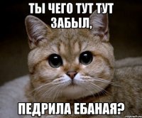 Ты чего тут тут забыл, Педрила Ебаная?