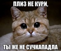 Плиз не кури, ты же не сучкападла