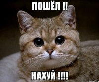 Пошёл !! НАХУЙ !!!!