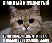 я милый и пушистый если пизданёшь что не так, я набью твоё жалкое ебало