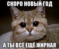 скоро новый год а ты всё ещё жирная