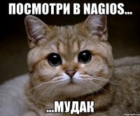 Посмотри в Nagios... ...мудак