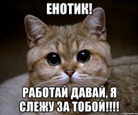 Енотик! Работай давай, я слежу за тобой!!!!