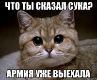 Что ты сказал сука? Армия уже выехала