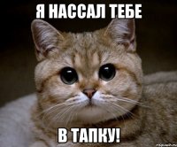 я нассал тебе в тапку!