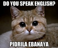 do you speak English? pidrila ebanaya