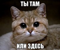 ТЫ ТАМ ИЛИ ЗДЕСЬ