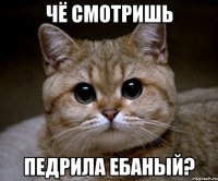 Чё смотришь педрила ебаный?