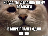 Когда ты делаешь кому то мозги В мире плачет один котик