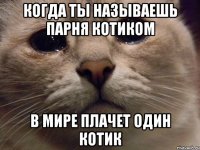 Когда ты называешь парня котиком В мире плачет один котик