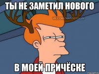 ты не заметил нового в моей причёске