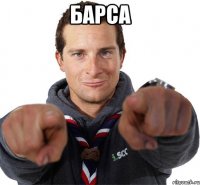 барса 