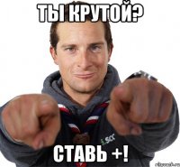 Ты крутой? Ставь +!