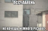 ПСС.. ПАРЕНЬ НЕ ХОЧЕШЬ НЕМНОГО PICABU?