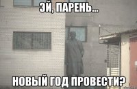  Новый Год провести?