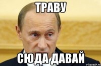 Траву сюда давай